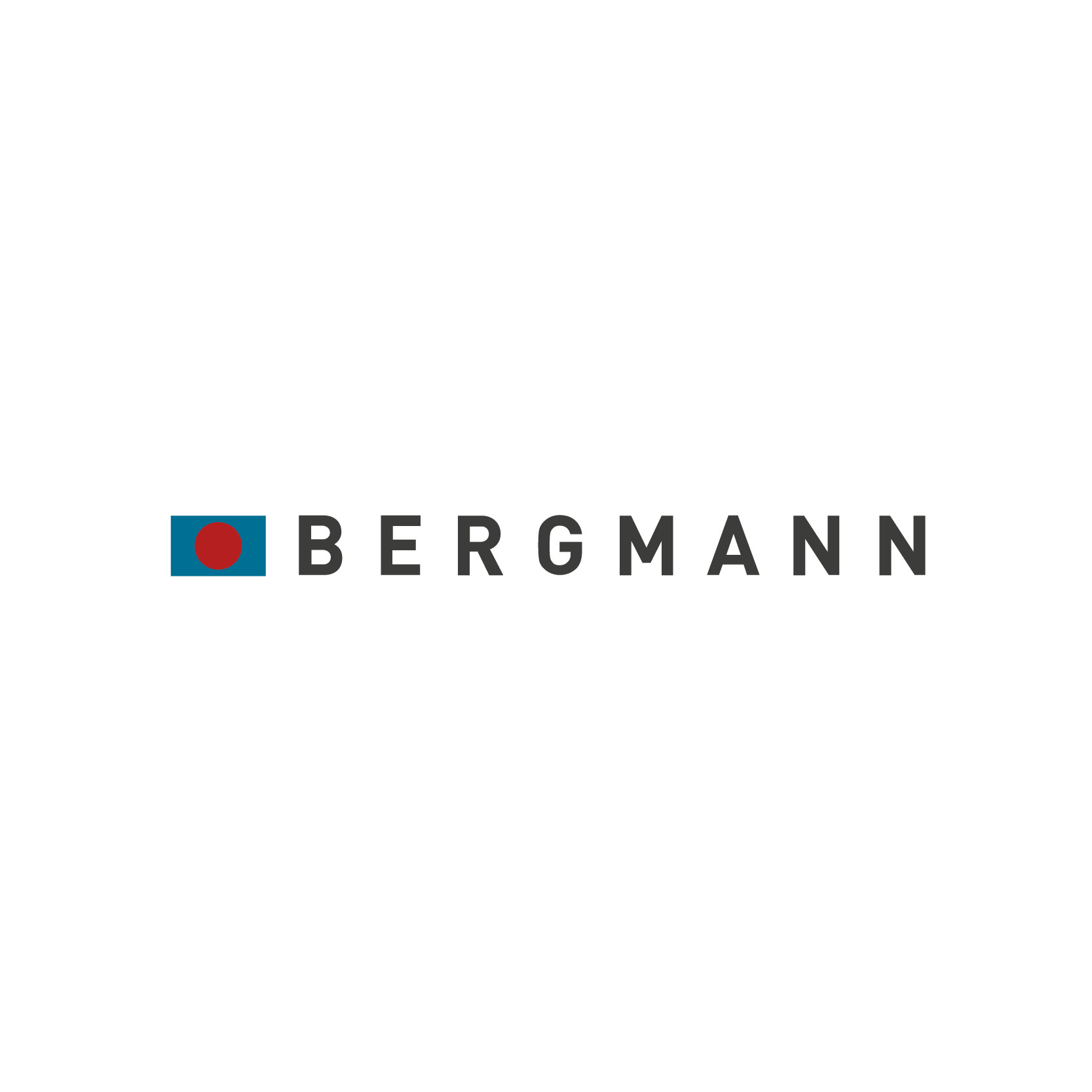 Logo Bergmann